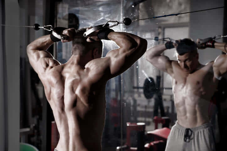 モテたい男性が鍛えるべき筋肉は 女子が好む5つの筋肉と筋トレ方法 Darl